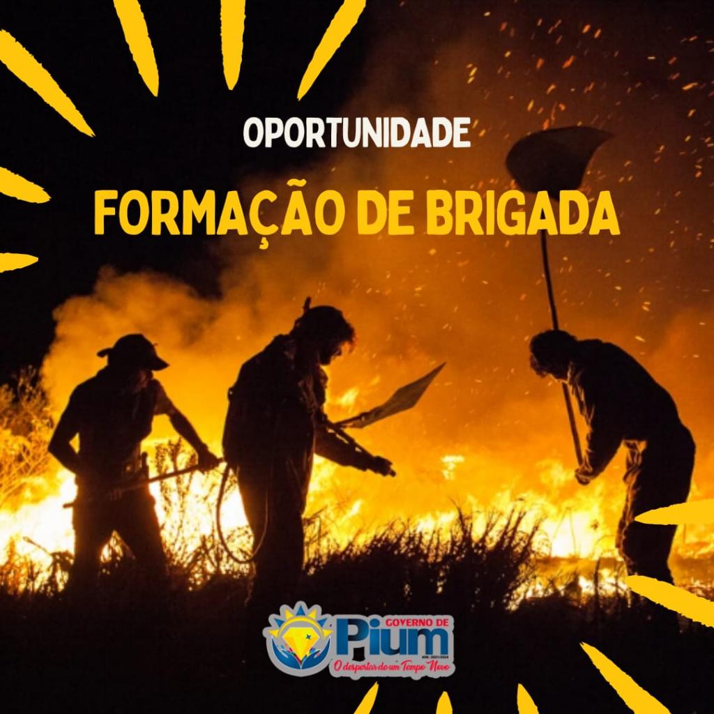 Notícia