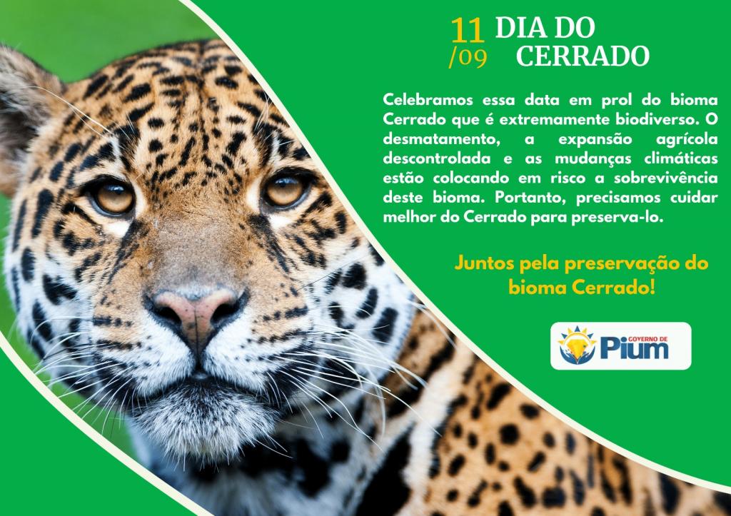 Notícia