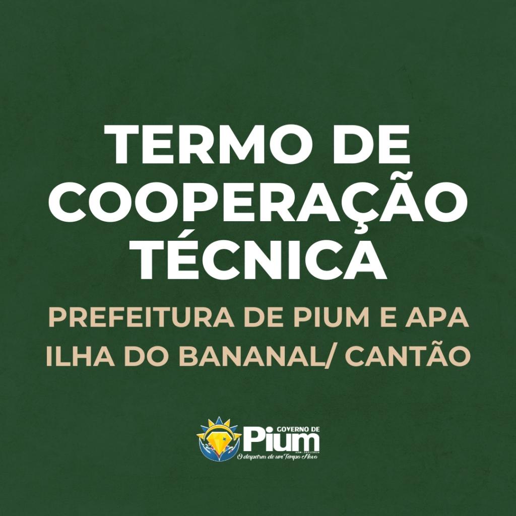 Notícia